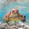 Kristine Kaiser - @kristine.kaiser - TikTok