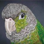 Kristi Kramer - @kr.isti6865 - Instagram