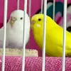 Kristine Larkin - @kristine.larkin - TikTok