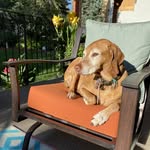 Krista Laughlin Semmens - @kiki6303 - Instagram