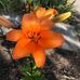Kristi Laughlin - Facebook