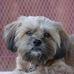 Christy Matlock - Facebook
