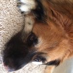 Kristi McCray - @mccray.kristi - Instagram