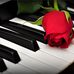 Krosty Michael - Facebook