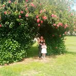 Kristie Muller - Facebook