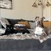 Kristianne Schell - Facebook