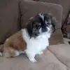 kristischultz0 - @kristischultz0 - TikTok