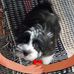 Kristi Sharp - Facebook