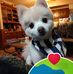 Kristi Simpson - Facebook