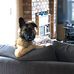 Krista Molyneux Upton - Facebook