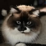 Kristi Waldrop - @klwaldrop75 - Instagram