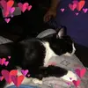 kristiwaldrop5 - @kristiwaldrop5 - TikTok