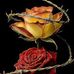 Kristi Welsh - Facebook