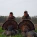 Kristi Workman - Facebook