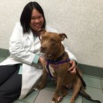 Kristi Yee, DVM - @gr8dvm - Instagram