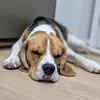 Kristian Jackson - @kristian.jackson57 - TikTok