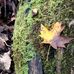 Kristian Kowsky - Facebook