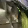 kristianmoore785 - @kristianmoore785 - TikTok