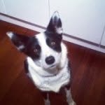 @kristian_walker17 - Instagram