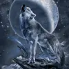 user2087493912525 - @wolf_kristian - TikTok