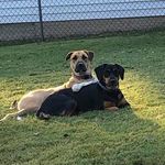 Kristi Daugherty - @kristi3442 - Instagram