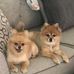 Kristie Campbell Daugherty - Facebook