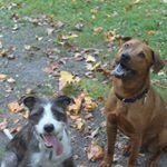 Kristie FIELDS - @kristiefields5487 - Instagram
