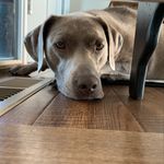Kristie Harmon Logan - @kristielogan22 - Instagram