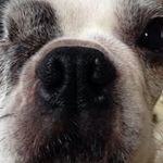 Kristin Bacon - @bacon.kristin - Instagram