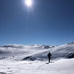 Kristin & Bård - @hjem_og_natur - Instagram