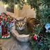Kristin Clapp - Facebook