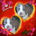 Kristine Gilbert - Facebook