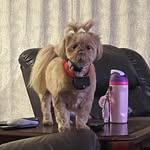 Kristin Corner - @kristincorner1 - Instagram