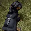 kristincramer85 - @kristincramer85 - TikTok