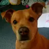 Kristin Daugherty - @kristindaugherty4992 - TikTok