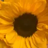 KristineD - @kristineder - TikTok