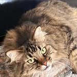 Kristen Eldridge - @blessedk333 - Instagram
