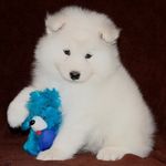 Kristin Garrison - @garrisonr2301 - Instagram