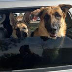 Kristin Garrison Dach - Facebook