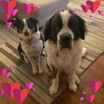 Kristin Goodhart Garrison - @kkkkkkjjjpupupu - Instagram