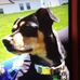Kristen Halbert - Facebook