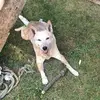 kristinahellmann0 - @kristinahellmann0 - TikTok