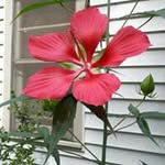 Kristin Hightower - @kristinhightower - Instagram