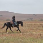 Kristin Holcomb - @kristin_holcomb5 - Instagram
