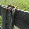 Kristin Holcomb - @kristin.holcomb6 - TikTok