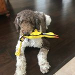 Kristin Hooker - @kristinkochhooker - Instagram