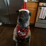 Kristin Knott - @lacrosse_mom_19 - Instagram