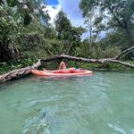 Kristin Meadows - @homemaidhippie - Instagram