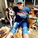 Kristin Meier - @daisygirlmeier - Instagram