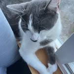 Kristin Meredith - @ivy123169 - Instagram